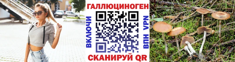 продажа наркотиков  Наволоки  Галлюциногенные грибы Psilocybine cubensis 